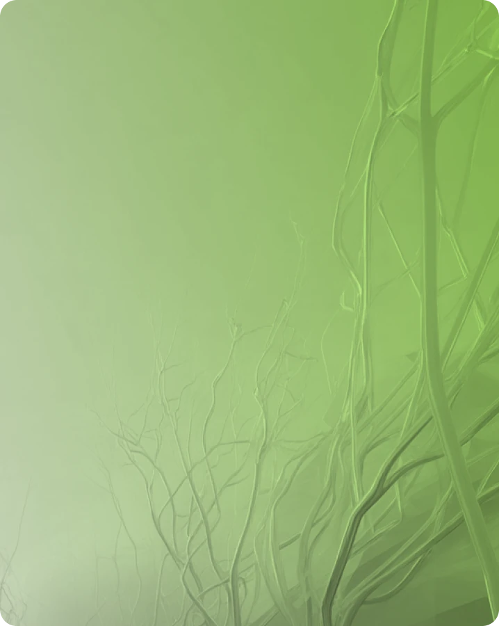 Jiayao Yu, Director of Engineering